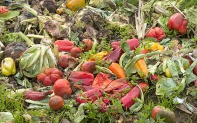 Why measurement solutions are key in combating agricultural losses