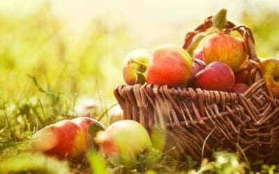 Measurement inspectors target fruit and veg trade