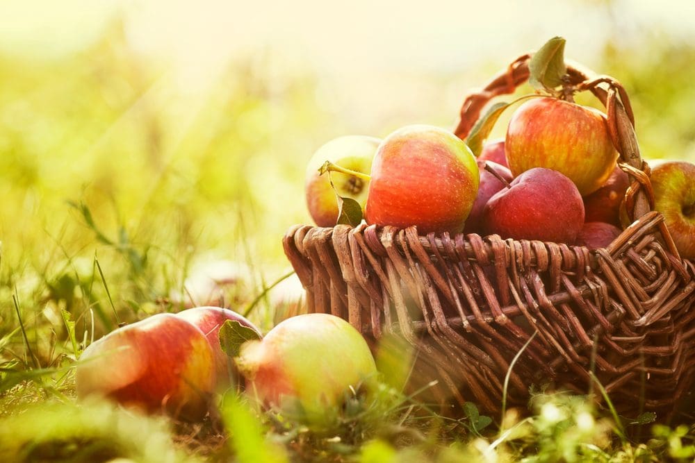Measurement inspectors target fruit and veg trade