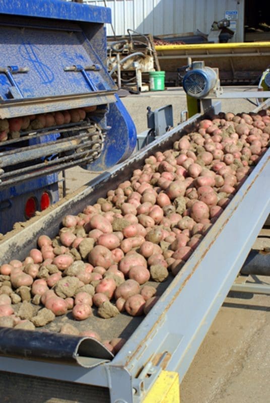 Screening food production operations for metal contaminants is vital to improving safety. 