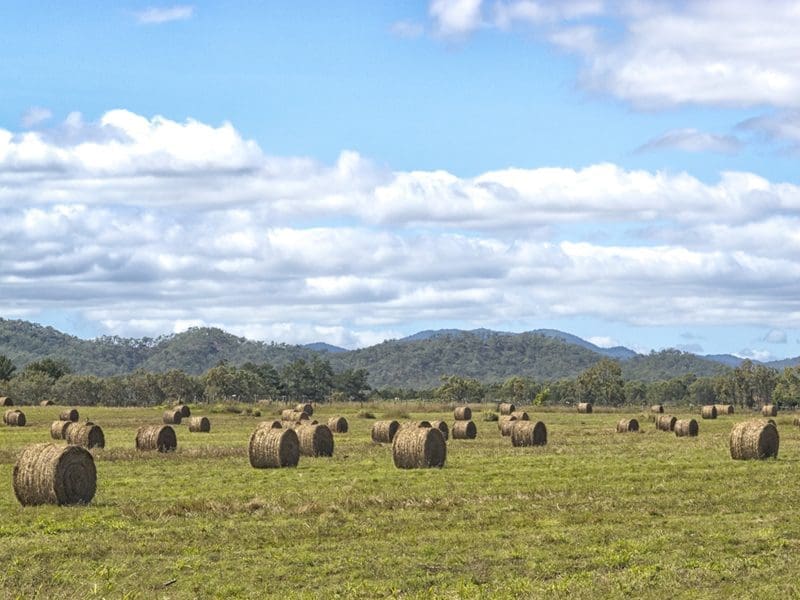 The right technology can streamline process and improve agricultural productivity. 